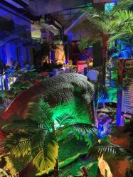 -恐龙探索乐园(磁器口店)