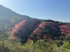 -木兰云雾山
