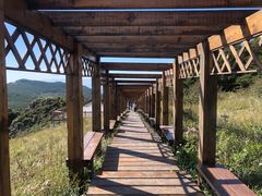 -白草畔自然风景区