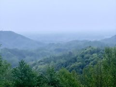 -泰山风景名胜区-普照寺