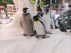 -IMON·HANSA潮玩玩偶毛绒玩具(通州万象汇店)