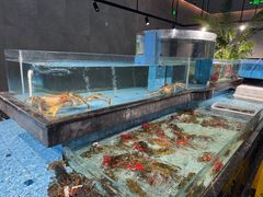 -曼格纳·曼芯馆(杨浦店)