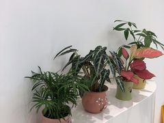 -艾薯夫妇Aysh(福田星河COCOPark店)