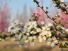 -嘉北郊野公园