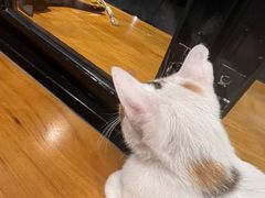 -转山咖啡(松柏社区店)