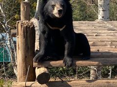 -济南野生动物世界