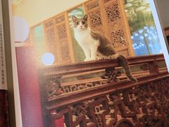-光海书局(南京东路第一百货店)
