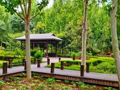 -郑州植物园