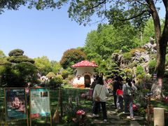 -上海鲜花港