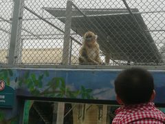 -西安秦岭野生动物园