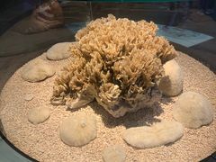 -天津自然博物馆