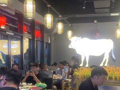 -小肥牛潮汕牛肉火锅(南联店)