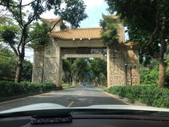 门面-银湖山郊野公园-相思林