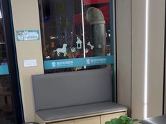 -瑞派伍一宠物医院·眼科·骨科·猫科转诊中心(马王堆院)