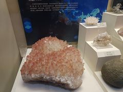 -天津自然博物馆