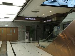 -UME影城(中国巨幕高新店)