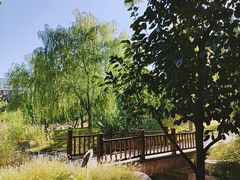 -莲花池公园