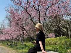 -上海海湾国家森林公园