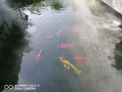 -西江印象酒楼