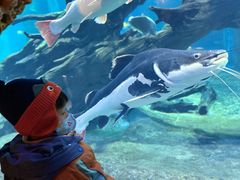 -华夏文旅海洋公园