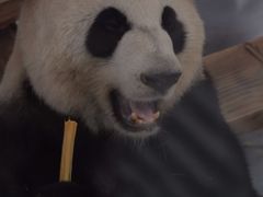 -无锡动物园·太湖欢乐园