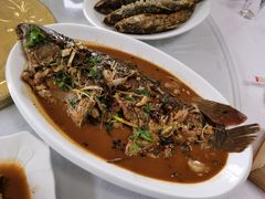 -庆岭迎宾园正宗活鱼馆