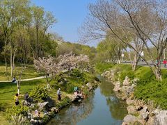 -羊山湖公园