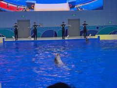-石家庄极地海洋世界