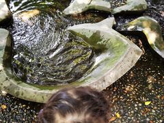 -成都市活水公园