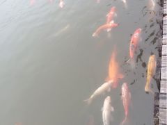 iphone_upload_pic-东部华侨城