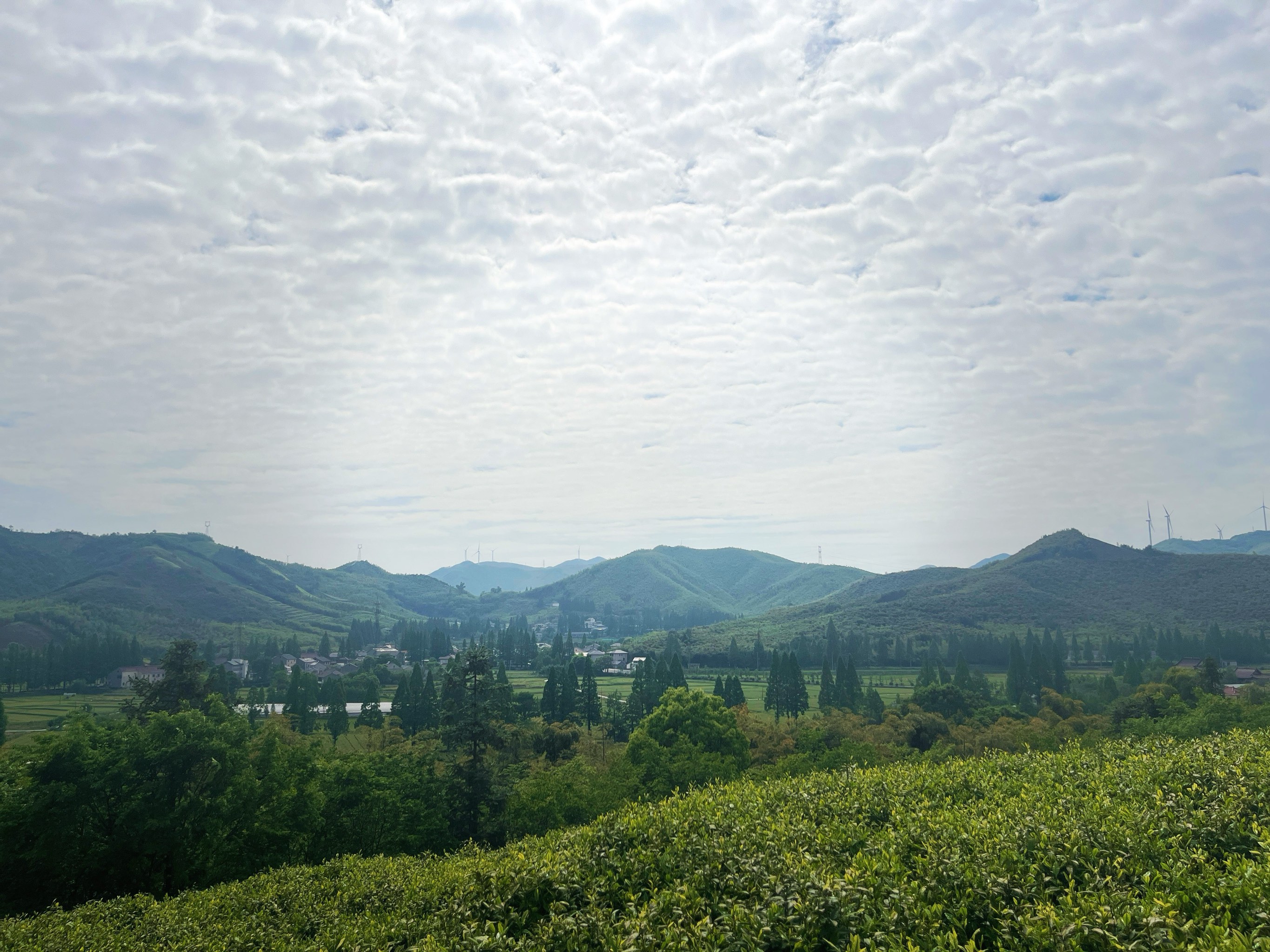 梅峰山樵图片