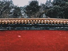 景点-景山公园