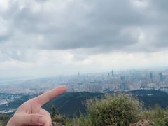 -长虫山生态公园风景林