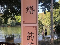 -荔湾湖公园