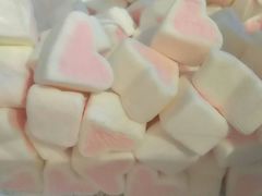 -狐狸和向日葵(北京路店)