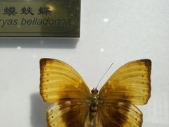 -上海昆虫博物馆