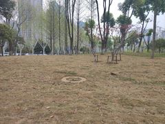 -后襄河公园