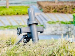 -上海吴淞炮台湾国家湿地公园