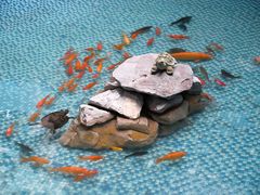 -黑龙江中医药大学附属第一医院