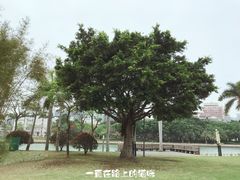 -白鹭洲公园