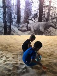 -恐龙探索乐园(磁器口店)