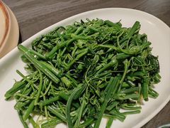 -滇铺子·云南特色菜·第九届野生菌美食节(曲靖万达店)