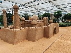 -南宫五洲植物乐园