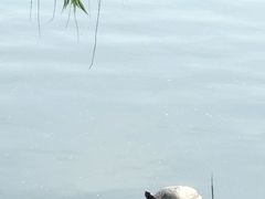 -江南大学(蠡湖校区)