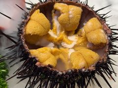 海胆-正黄旗海鲜烧烤大排档(延安路总店)