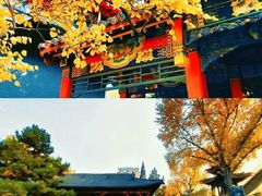 -碑林公园