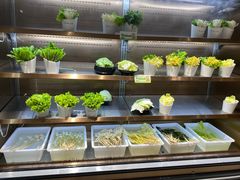 自助取餐区-串一火锅(赛格国际购物中心店)