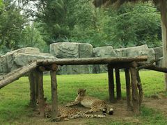 -北京野生动物园