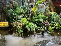 -多哥水傣味餐厅(司马巷店)