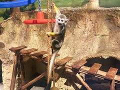 -绿色星球动物主题公园